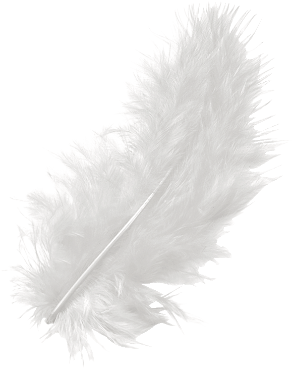 KNORR prandell 216619002 | Marabou feathers | approx. 10 cm | white