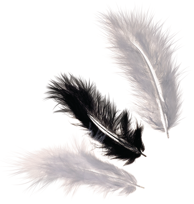 KNORR prandell 216619961 | Marabou feather mix | approx. 10 cm | black